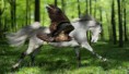 /album/galerie-photos/cheval-oiseau-jpg/